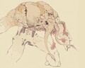 Thumbnail for version as of 03:19, August 28, 2026