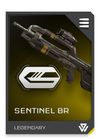 REQ Loadout Weapon BR Sentinel Bayonet.jpg