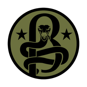 Beta Company emblem icon