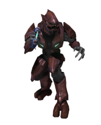 Hub:Halo 3/Species - Halopedia, The Halo Wiki