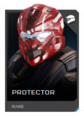 H5G REQ Helmets Protector Rare