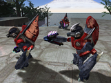 Armor variants for the Unggoy in Halo: Combat Evolved.
