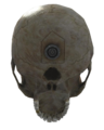 The skull with a Neural interface.