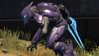 Profile view of a Banished Spec Ops Sangheili.