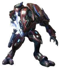 Sangheili Zealot - Halopedia, the Halo wiki