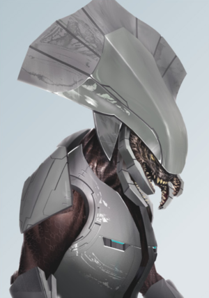 Rojka 'Kasaan as he appears in the Halo Encyclopedia (2022 edition). Courtesy of Covenant Canon on Twitter.
