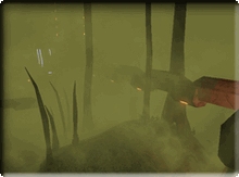Backwash, with the fog enabled.