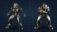 Two variations of the Sangheili Zealot in Halo 4.