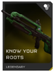 Know Your Roots battle rifle REQ image.