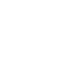 Icon of the 2024 SSG backdrop.