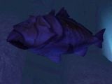 Fish similar in appearance to a Parrotfish in a lake on Installation 05 in Halo 2.