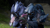 Two Sangheili Minors in Halo 3.