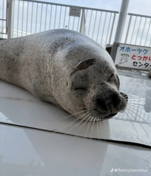 File:USER Mhrxtn SealImage.webp