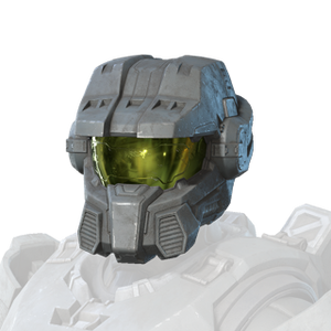 Icon for the Cohort helmet.