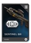 REQ Loadout Weapon BR Sentinel Stabilizers.jpg