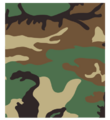 Woodland Camouflage, which first originated in the U.S. in the early 20th Century.