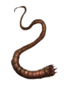 A Sbaolekgolo worm as they appear in the Halo Encyclopedia (2022 edition).