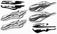 Rough sketches for the corvette's design. The center right design was later modified to become the A'uzr sword frigate.