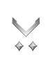 Multiplayer career rank insignia for Halo Infinite.