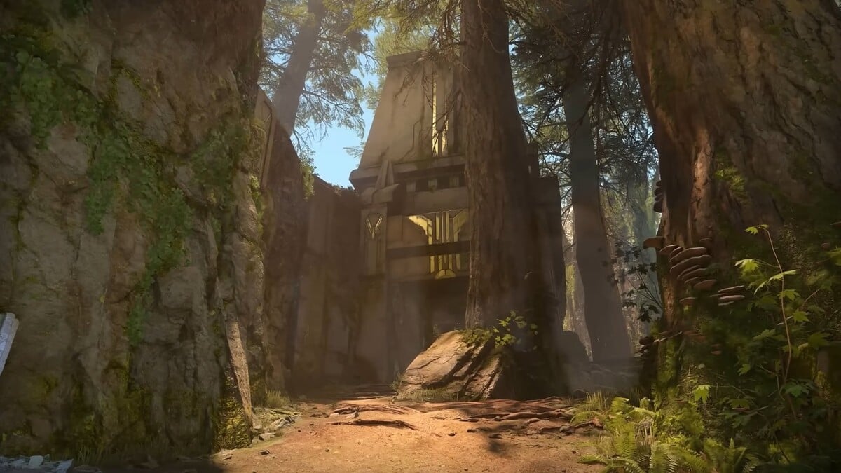 Forest - Multiplayer map - Halo Infinite - Halopedia, the Halo wiki